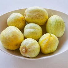 Castravete Lemon - Img 4