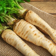 Pastarnac-Pastinaca Sativa