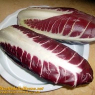 Radicchio rosie Di Treviso