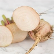 Sfecla alba Albino