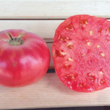 Tomate Brandywine Pink
