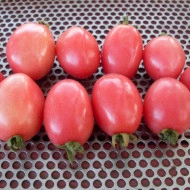 Tomate cherry Pink Thai Egg - Img 6