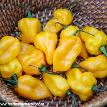 Ardei iute Grenada Seasoning