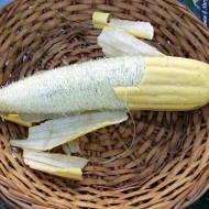Castravete Luffa cylindrica - Img 6