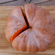 Dovleac Musquee de Provence