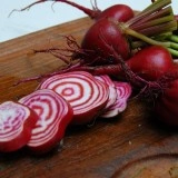 Sfecla Chioggia