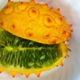 Kiwano - Img 4