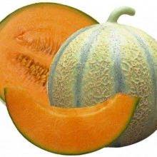 Pepene galben Cantalupo di Charentais