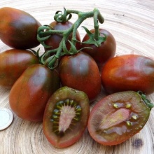 Tomate cherry Black Plume