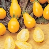Tomate cherry Yellow Pearshaped - Img 2