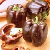 Ardei gras Beauty Chocolate