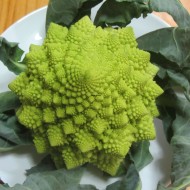 Broccoli Romanesco