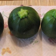 Dovlecel zucchini Piacenza Round Dark