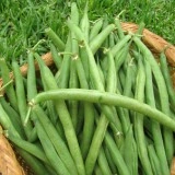 Fasole pitica fideluta verde