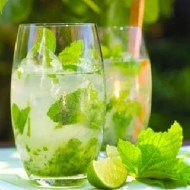 Menta Villosa Mojito Mint - Img 2