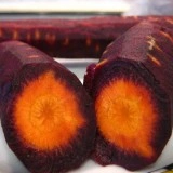 Morcov Purple