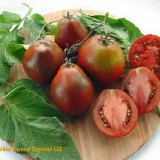 Tomate Black Truffle