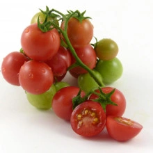 Tomate cherry Gartenperle - Img 6