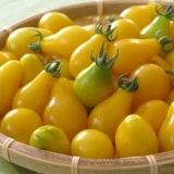 Tomate cherry Yellow Pearshaped - Img 3