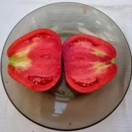 Tomate Coeur d'Albenga - Img 8