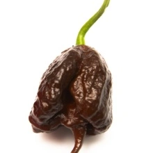 Ardei iute Carolina Reaper Chocolate - Img 3