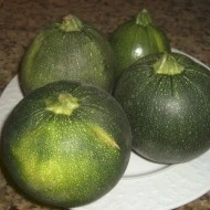 Dovlecel zucchini Piacenza Round Dark - Img 3