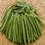 Fasole pitica fideluta verde