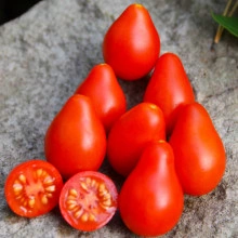 Tomate cherry Red Fig