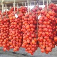 Tomate cherry Grapoli d'Inverno