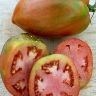 Tomate Speckled Roman - Img 3