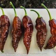 Ardei iute Bhut Jolokia Chocolate