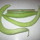 Castravete Armenian Yard Long