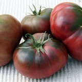 Tomate Black from Tula