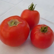 Tomate Buzau 22 - Img 2