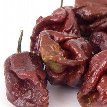 Ardei iute 7 Pot Douglah Chocolate
