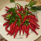 Ardei iute Thai Chili