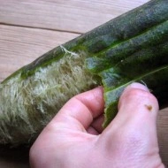 Castravete Luffa cylindrica - Img 2