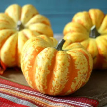 Dovleac decorativ Carnival Squash