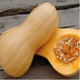 Dovleac placintar Butternut