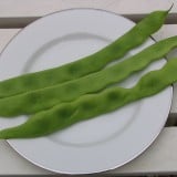 Fasole urcatoare lata verde