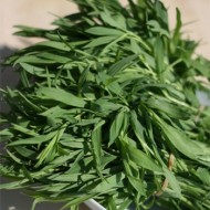 ﻿Stridolo-Silene vulgaris