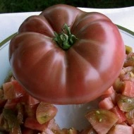 Tomate Cherokee Purple - Img 1