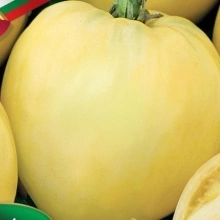Tomate Inima de Bou Byalo Sartse