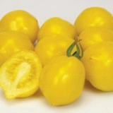 Tomate Lemon Tree - Img 4