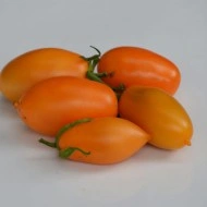 Tomate Orange Icicle - Img 2