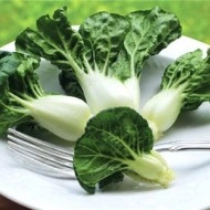 Varza chinezeasca Pak Choi Canton Dwarf