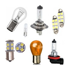 BULBS 12V