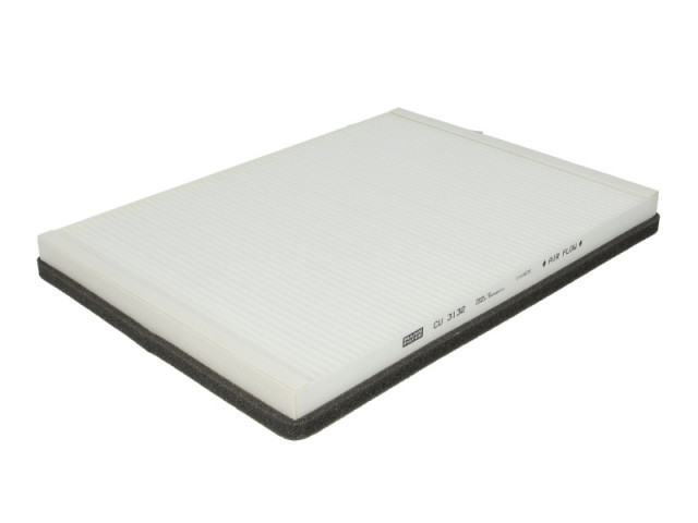 Filtre Habitaclu DAF