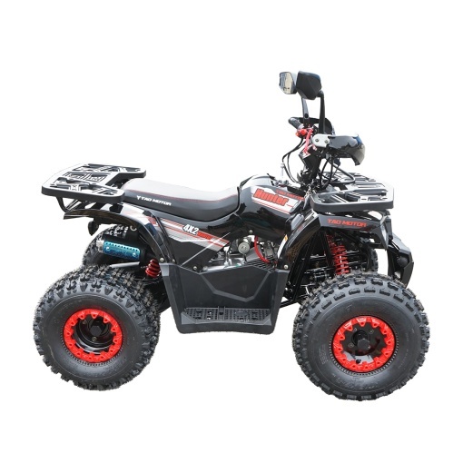 ATV 120cc, 7 CP, 4x2 cu pornire electrica HUNTER II - Img 11