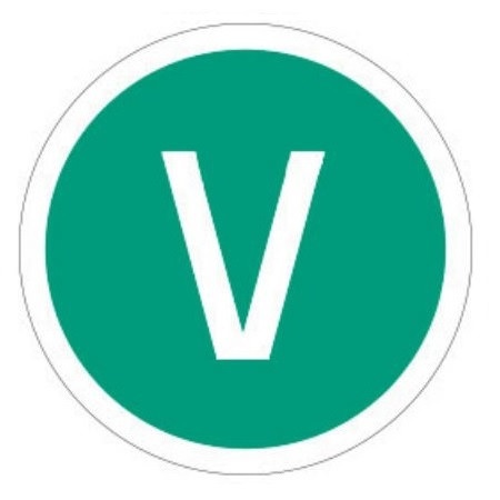 Autocolant „EURO V” 220 mm